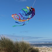 In the Breeze Rainbow 12" Orbiter Star 4606 View 4