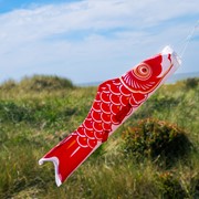 In the Breeze 24" Red Koi 4777 View 4