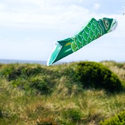 In the Breeze 24" Green Koi 4779 View 4