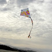 In the Breeze Diamond Coloring Kite 36 PC Display 3074-D View 4