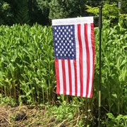 In the Breeze US Flag Embroidered Garden Flag 4485 View 4