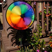 In the Breeze Rainbow Dazy Wheel 2793 View 4