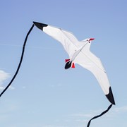 In the Breeze Seagull Kite 3140 View 3