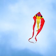 In the Breeze Ibis 52" Wave Delta Kite 3152 View 4