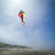 In the Breeze Rainbow Flux 52" Wave Delta Kite 3153 View 4