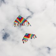 In the Breeze Rainbow Stripe 32" Flutterfly Delta Kite 3178 View 4