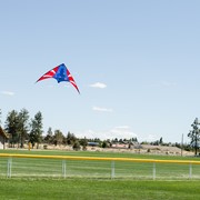 In the Breeze Stars & Stripes 48" Sport Kite 3316 View 4