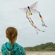 In the Breeze Butterfly 23" Coloring Kite 3190 View 4