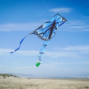 In the Breeze Blue Butterfly Swarm 45" Fly-Hi Kite 3199 View 4