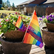 In the Breeze Printed Rainbow 4x6 Hand-Held Flag (12 PC) 3688 View 4