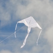 In the Breeze White Colorfly 43" Fly-Hi Kite 3214 View 4