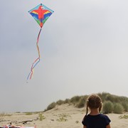 In the Breeze Parrot 30" Diamond Kite 3218 View 4