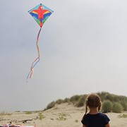 In the Breeze Parrot 30" Diamond Kite (Optimized for Shipping) 3218 View 4