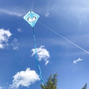 In the Breeze Shark 30" Diamond Kite (Optimized for Shipping) 3219 View 4
