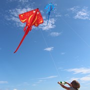 In the Breeze Blue Stingray Kite 3220 View 4