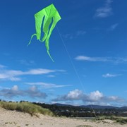 In the Breeze Green 77" Wave Delta Kite 3226 View 3