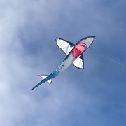 In the Breeze 7.5' Great White 3D Shark Kite 3243 View 4