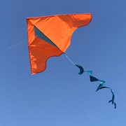 In the Breeze Colorblock Delta Kite with Twister Tail 24 PC Display 3255 View 4