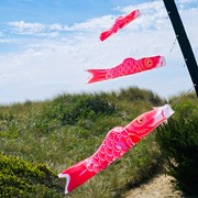 In the Breeze 24" Pink Koi 5124 View 2