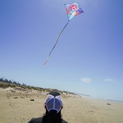 In the Breeze Mermaid 30" Diamond Kite (Optimized for Shipping) 3258 View 4