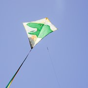 In the Breeze Dinosaur 30" Diamond Kite (Optimized for Shipping) 3275 View 4