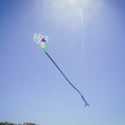 In the Breeze Kitten 30" Diamond Kite (Optimized for Shipping) 3278 View 4