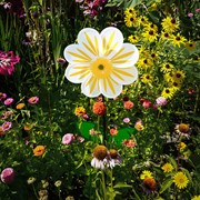 In the Breeze 13" White Daisy Flower Spinner 2686 View 4