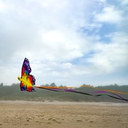 In the Breeze Fantasy Butterfly Kite 3288 View 4