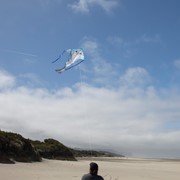 In the Breeze Dolphin 45" Fly-Hi Kite 3321 View 3