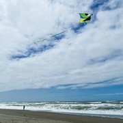 In the Breeze Manu Green 72" Delta Kite 3339 View 4