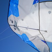 In the Breeze Seal 46" Fly-Hi Kite 3347 View 4