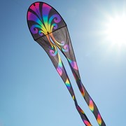 In the Breeze 22" Aurora Dancing Dragon Kite 3355 View 4