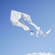 In the Breeze White 77" Wave Delta Kite 3356 View 4