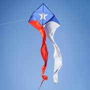 In the Breeze Texas 77" Wave Delta Kite 3357 View 4