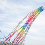 In the Breeze Rainbow 51" Mylar Windsock 9065 View 4