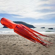 In the Breeze 40" Octopus 3D Windsock 5206 View 4