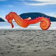 In the Breeze 40" Seahorse 3D Windsock 5207 View 4
