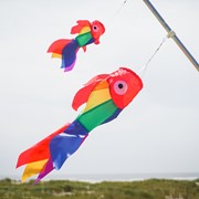 In the Breeze 30" Rainbow Damsel Fish Windsock 5208 View 4