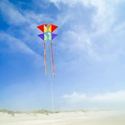 In the Breeze Pacific Tri-Kite 3371 View 4