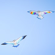 In the Breeze 70" Blue Seabird Kite 3378 View 4