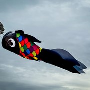 In the Breeze 15" Black & Rainbow Damsel Fish 5224 View 4