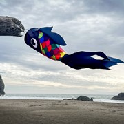 In the Breeze 30" Black & Rainbow Damsel Fish 5225 View 4