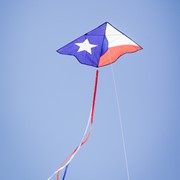 In the Breeze 46" Texas Delta Kite 3392 View 4