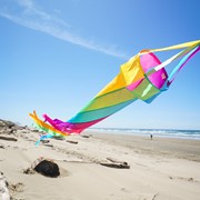 In the Breeze 60" Fiesta Spinsock 5228 View 4