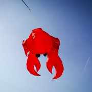 In the Breeze Crab Big Breeze Windsock™ 5230 View 4