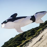 In the Breeze Orca Big Breeze Windsock™ 5231 View 4