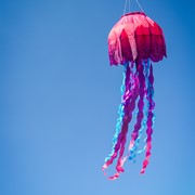 In the Breeze Jellyfish Big Breeze Windsock™ 5232 View 4