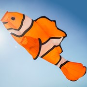 In the Breeze Clownfish Big Breeze Windsock™ 5251 View 4