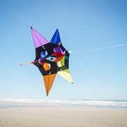 X-Kites & WindNSun AeroStar Supersize Ultra 3D Kite X-72142 View 4