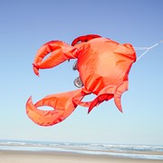 In the Breeze 40" Realistic Crab 3D Windsock 5248 View 4
